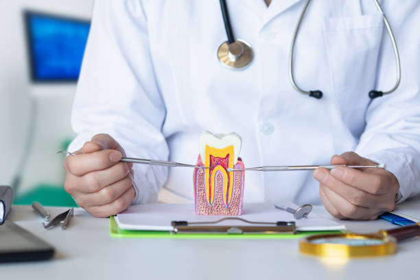 Best Dentist for Tooth Abscess  in Dalton, PA
